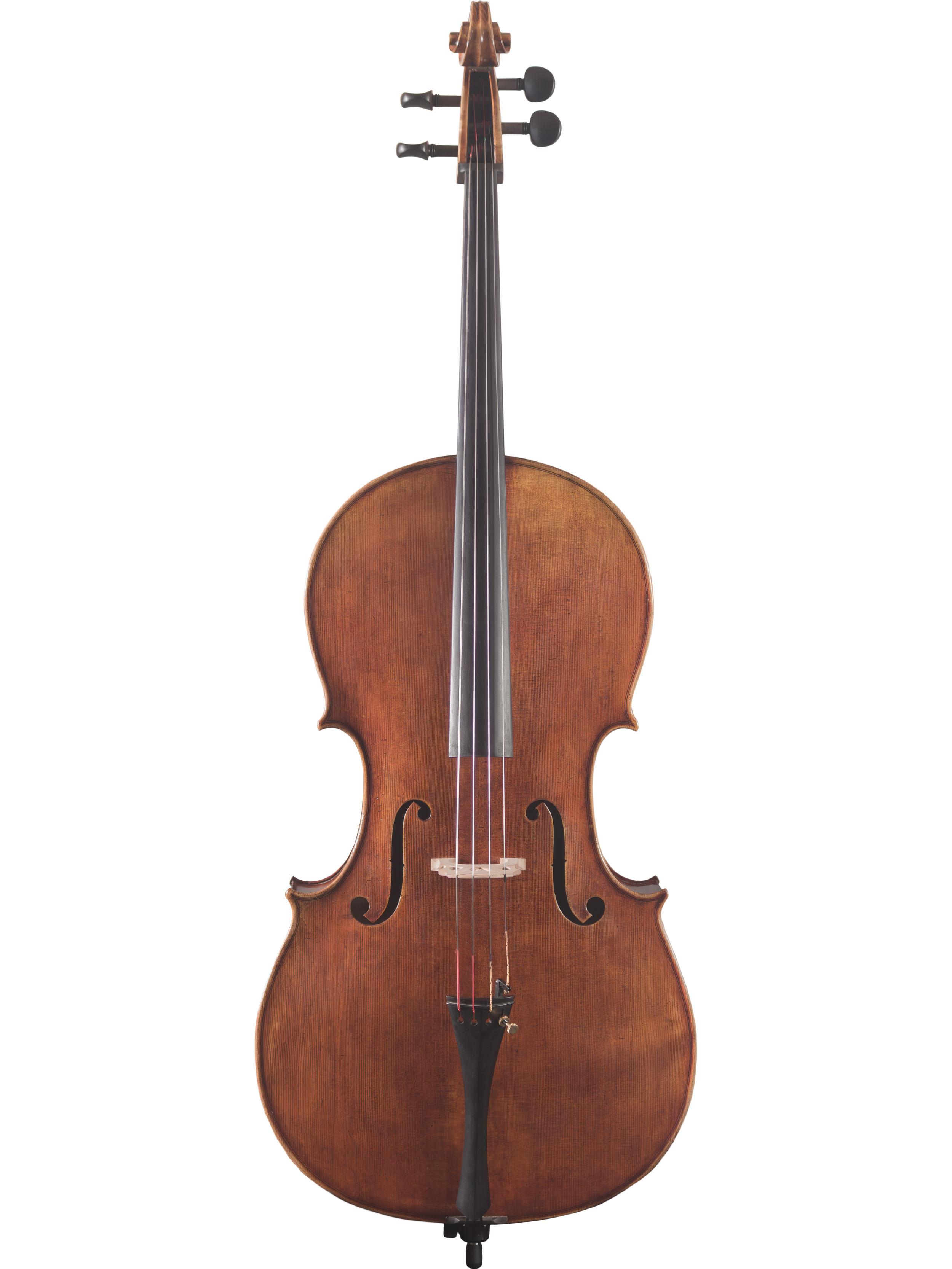 Lady Claire Cello — Maple Leaf Strings